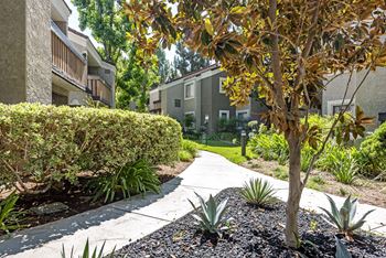 Beautiful Courtyard With Walking Paths at 1750 On First, Simi Valley, CA, 93065
